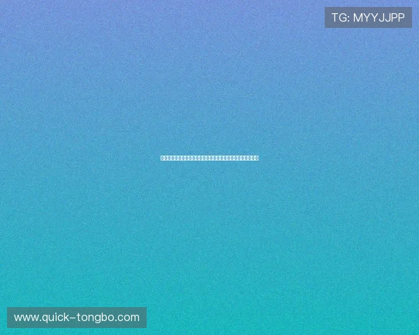 星辉娱乐品牌授权助力世界杯赛事精彩呈现引领体育娱乐新潮流